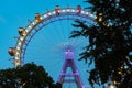 Vienna Giant Wheel At Night Royalty Free Stock Photo