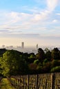 Vienna from Kahlenberg in the early morning Royalty Free Stock Photo