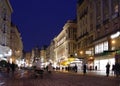 Vienna at night