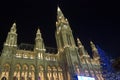 Vienna Rathaus at night witha Christmas tree