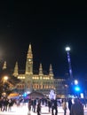 Vienna Rathaus in Winter