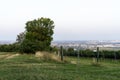 Vienna's Sky View: Floridsdorfer Panorama Observation Deck