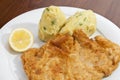 Vienna schnitzel with mashed potatoes and onion Royalty Free Stock Photo