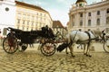 Vienna street attraction, horse ride