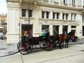 Vienna street with horses. Austria.