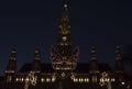 Vienna town hall in Christmas time night