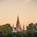 Vienna Town Hall Royalty Free Stock Photo