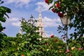 Vienna Town Hall Royalty Free Stock Photo