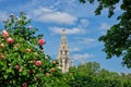 Vienna Town Hall Royalty Free Stock Photo