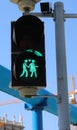 Vienna, WIEN, Austria - August 22, 2023: GREEN traffic lights with the symbol of two people