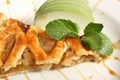 Viennese Apple strudel with vanilla ice cream and mint on a plate Royalty Free Stock Photo
