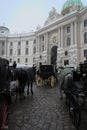 Viennese carriages