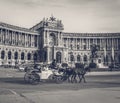 Viennese Horse And Carriage