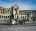 Viennese Horse And Carriage