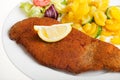 Viennese schnitzel Royalty Free Stock Photo