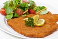 Viennese schnitzel (escalope) Royalty Free Stock Photo