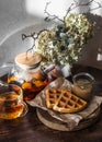 Viennese waffles homemade apple sauce and fragrant citrus tea on a wooden table in a sunny and cozy room