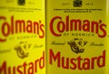 Makro close up of isolated retro design cans original english mustard powder with colmans logo lettering Royalty Free Stock Photo