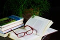 View on open book with red reading glasses and stack of travel books