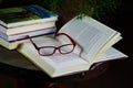 View on open book with red reading glasses and stack of travel books