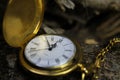 Macro close up of isolated golden antique pocket watch with filigree movement clockwork, lid, chain on natural bark of tree trunk