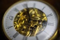 Macro close up of isolated golden antique pocket watch with filigree movement clockwork on natural bark of tree trunk Royalty Free Stock Photo