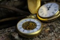 Macro close up of two isolated golden antique pocket watches with filigree movement clockwork, lid, chain on natural bark of tree