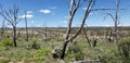 Vies from the Mesa Verde National Park in cortez Colorado