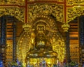 Vietnam Chua Bai Dinh Pagoda: Giant Golden Buddha statue in temp Royalty Free Stock Photo