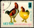 VIETNAM - CIRCA 1968: postage stamp printed in Vietnam shows and hen, a series of domestic fowl