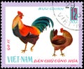 VIETNAM - CIRCA 1968: postage stamp printed in Vietnam shows and hen, a series of domestic fowl