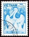 VIETNAM - CIRCA 1984: A stamp printed in Vietnam shows Eastern white pelican Pelecanus onocrotalus, circa 1984.