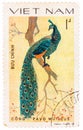 Stamp printed in Vietnam shows Pavo muticus or green peafowl, series devoted to the ornamental birds
