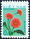 VIETNAM - CIRCA 1977: A stamp printed in Vietnam shows Pink Dahlias Hoa Dong Tien, circa 1977.