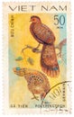 Stamp printed in Vietnam shows Polyplectron germaini, series devoted to the ornamental birds Royalty Free Stock Photo