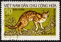 VIETNAM - CIRCA 1972: stamp printed by Vietnam, shows wildcats.