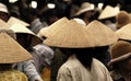 Vietnam conic hats