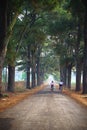 Vietnam countryside landscape with children cycling to school on soild road along lines of tree. Royalty Free Stock Photo