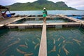 Vietnam Fish Farmer