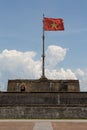 Vietnam Flag Portrait