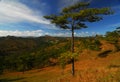 Vietnam Highlands, Dalat Royalty Free Stock Photo