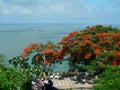 Vietnam Jesus Christ`s Statue Garden Ocean Coastline Mount Nho Vung Tau Christianity Catholic Religious Royalty Free Stock Photo