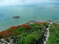 Vietnam Jesus Christ`s Statue Garden Ocean Coastline Mount Nho Vung Tau Christianity Catholic Religious