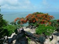 Vietnam Jesus Christ`s Statue Garden Ocean Coastline Mount Nho Vung Tau Christianity Catholic Religious Royalty Free Stock Photo