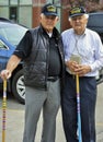 Vietnam and Korean Veterans at Memorial Day Parade Royalty Free Stock Photo