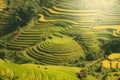 VIETNAM Landscape rice terrace on the mountain of mu cang chai V