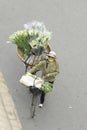 Hanoi, Vietnam -Local street vendor on city center of Hanoi, Vietnam Royalty Free Stock Photo