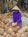 Vietnam, Mekong Delta, Coconut Factory