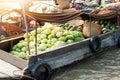 Vietnam, Mekong river delta Royalty Free Stock Photo