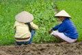 Vietnam People, Vietnamese Farmer, Travel Royalty Free Stock Photo